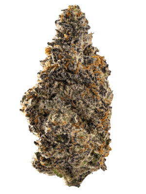 Vanilla Fog
