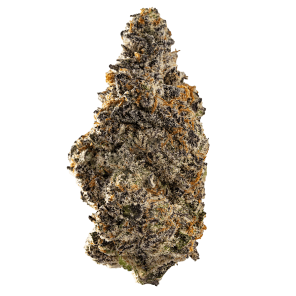 Vanilla Fog