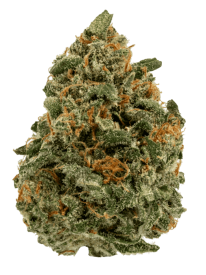 Super Silver Haze