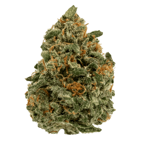 Super Silver Haze