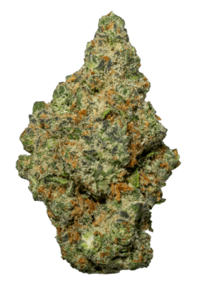 Meat Breath