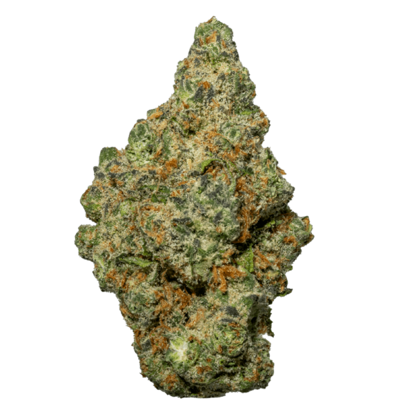 Meat Breath