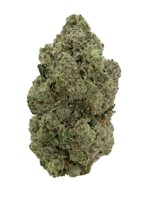 White Sherbet