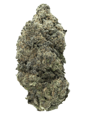Hash Burger