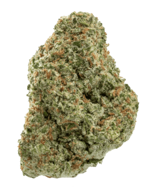 Papaya Punch