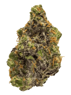 Karamel Kutthroat