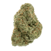 Papaya Punch