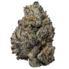 Black Truffle