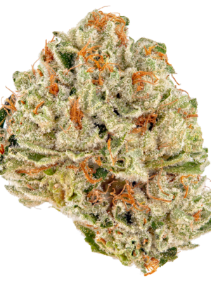 GLACIER [1&2] ALL FLAVOUR